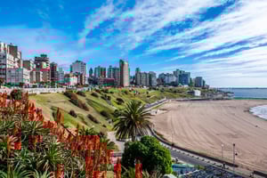 Picture of Mar del Plata, Argentina. Red flowers on a hillside overlooking a sandy beach and buildings perched on top